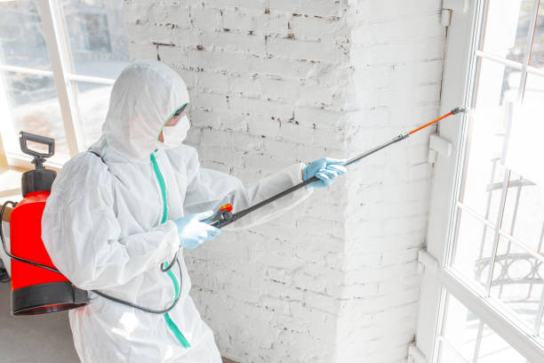 Why You Should Choose Our Mold Remediation Services in Aquia Harbour, VA